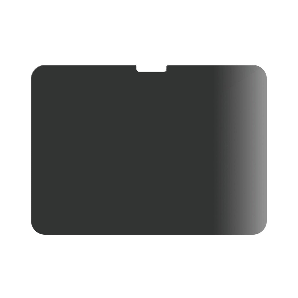 PanzerGlass® Privacy Displayschutz iPad Air 11'' (2024-2025) | iPad 10.9'' (2022) | iPad 11'' (2025) | Ultra-Wide Fit